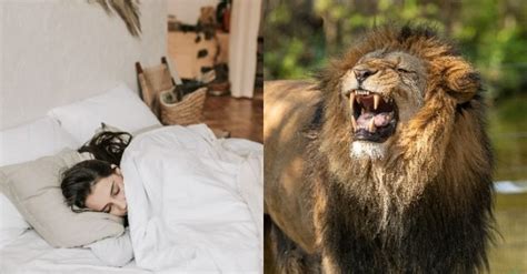Mimpi di gigit singa  Bagi Anda yang pernah mengalami mimpi diserang atau digigit singa, hal ini merupakan reaksi dari perasaan Anda akhir-akhir ini